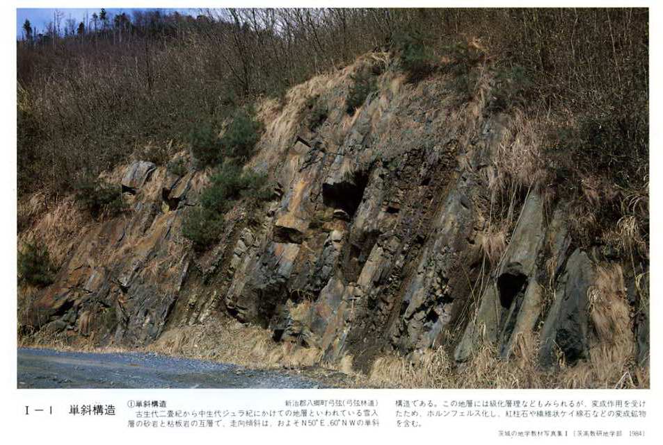 単斜構造